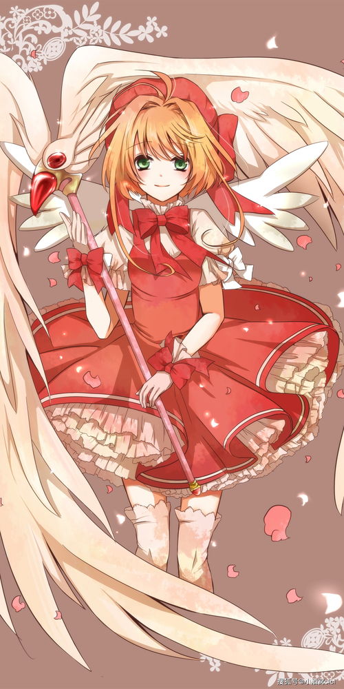 萌力全开！木之本樱壁纸网站设计指南 打造你的专属魔法收藏馆